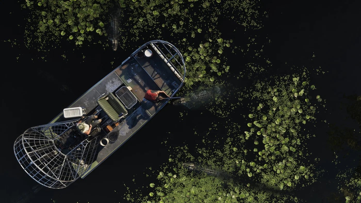 Bažiny a př&iacute;rodn&iacute; oblasti Leonidy v GTA VI