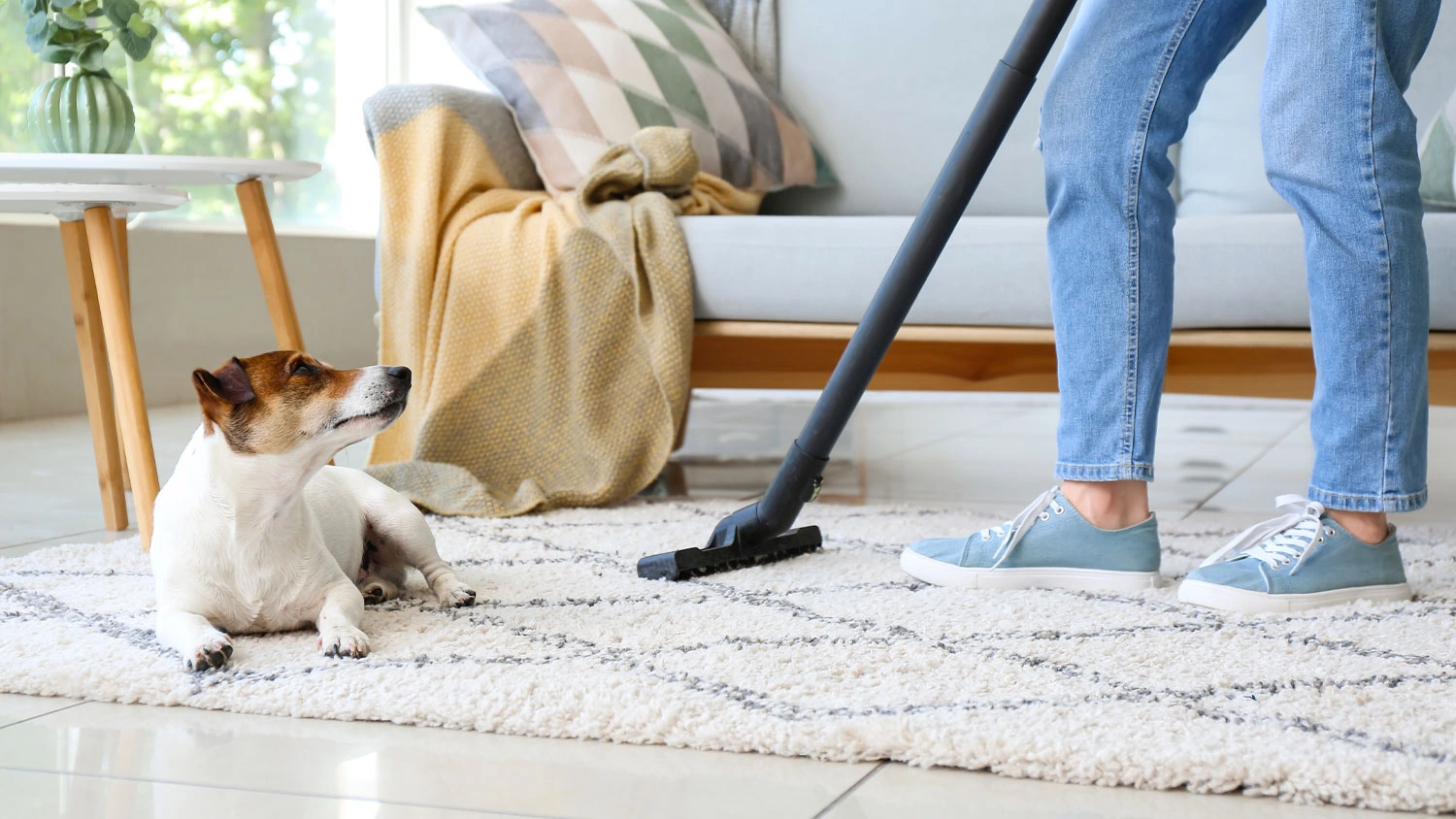 Osoba vysáva biely koberec s akumulátorovým vysávačom Sencor SVC 78x, vedľa ktorého leží malý pes.